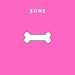 Jokes About Bone