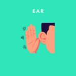 Jokes About Ear